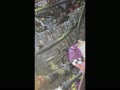 パイプが外れて流れる水 パイプが外れて流れる水