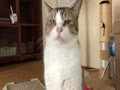 ルイくん ルイくん